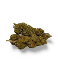 Fleur de CBD Critical+ 2G - CBD Signature