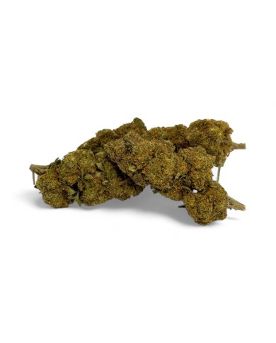 Fleur CBD Critical+ Greenhouse 8%