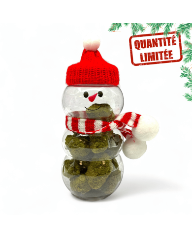 Fleurs CBD Frozen Édition Noël 20GR - Édition Limitée