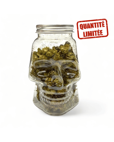 Fleurs CBD Small Bud Skull 25GR - Édition Limitée Halloween