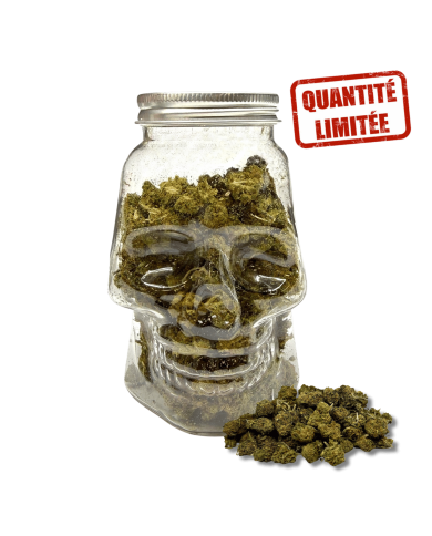 Fleurs CBD Small Bud Skull 25GR - Édition Limitée Halloween