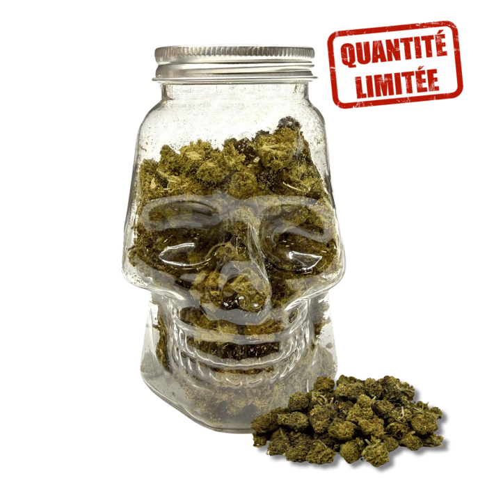 Fleurs CBD Small Bud Skull 25GR - Édition Limitée Halloween