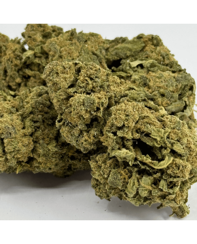 Fleur de CBD Candy Kush Greenhouse