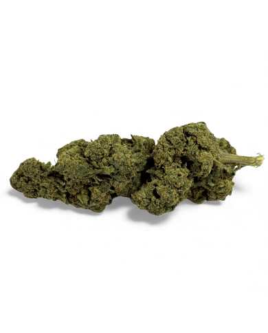 Fleur de CBD Candy Kush Greenhouse