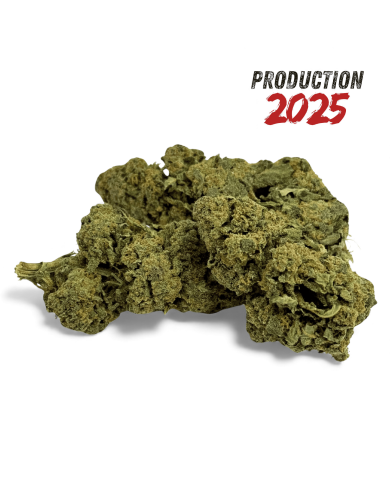 Fleur de CBD Candy Kush Greenhouse