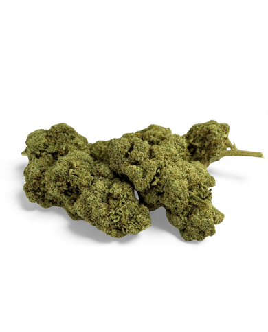 Fleur de CBD Grape Gas Greenhouse