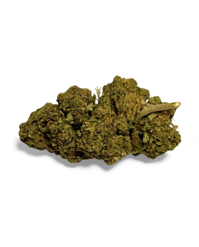 Fleur de CBD Black Mamba Greenhouse