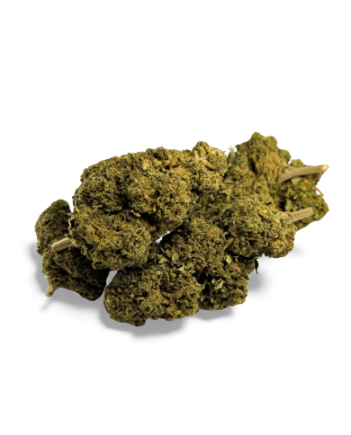 Fleur de CBD Black Mamba Greenhouse