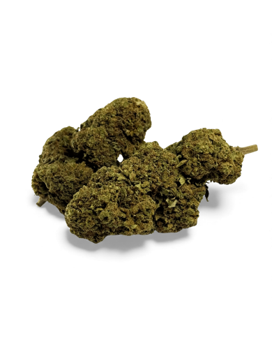 Fleur de CBD Black Mamba Greenhouse