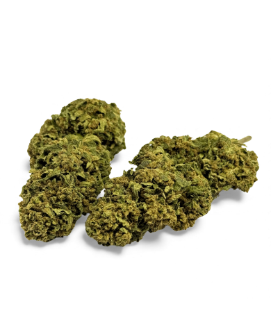 Fleur de CBD Banana Smash Greenhouse