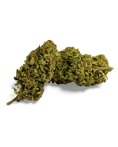 Fleur de CBD Banana Smash Greenhouse