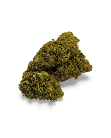 Fleur de CBD Sour Lime Haze Greenhouse