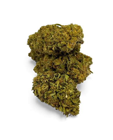 Fleur de CBD Sour Lime Haze Greenhouse