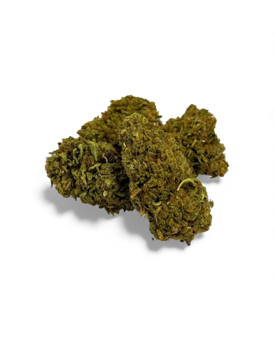 Fleur de CBD Sour Lime Haze Greenhouse