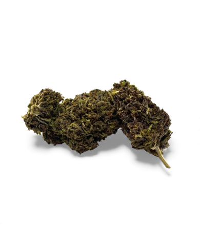 Fleur de CBD Mandarine Haze Greenhouse