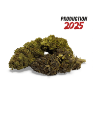 Fleur de CBD Chem Crush Greenhouse