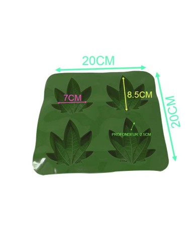 Moule alimentaire 4 compartiments vert